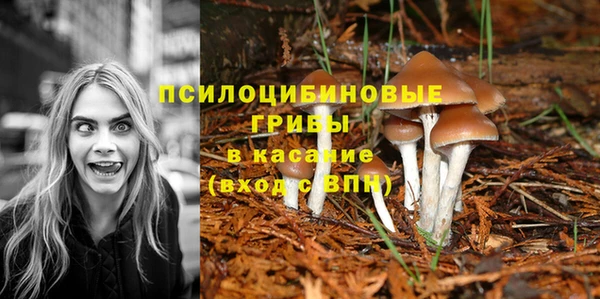 кокаин Алексеевка