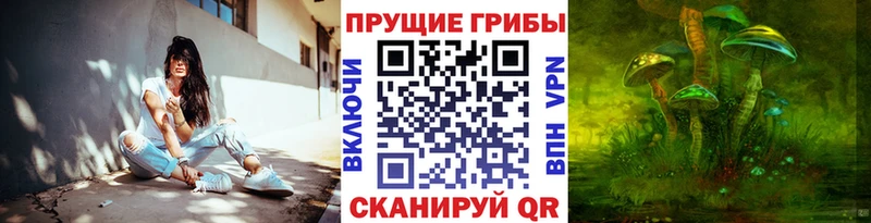 закладка  Аркадак  Псилоцибиновые грибы мухоморы 